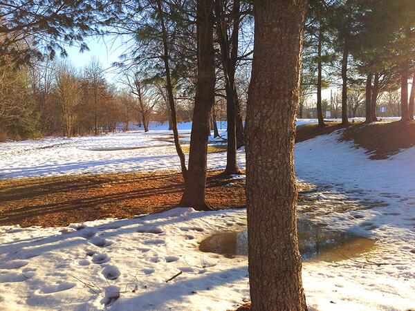 keeyith's tweet image. Almost out of the #woods
#justKeepCoding