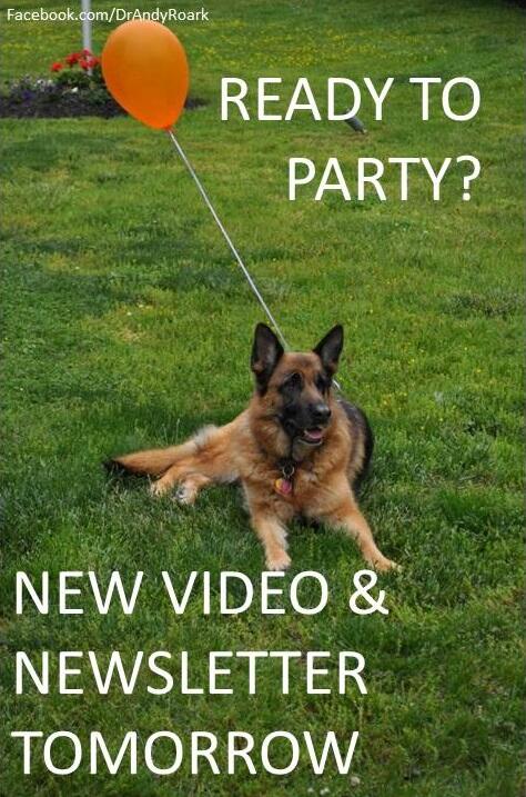 DrAndyRoark's tweet photo. Coming tomorrow- Top 5 Ways To Drive Your Vet Crazy! Also, don't miss my newsletter: http://t.co/mNRIj2Pzr1 #2014WVC http://t.co/XZXld3FO4Z