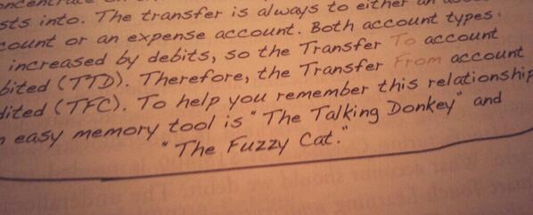 My accounting book authors are just a ridiculous as I am I guess. #talkingdonkey #fuzzycat #gotit