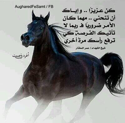 شعبان سيد محمود (@shabaan2222) on Twitter photo 