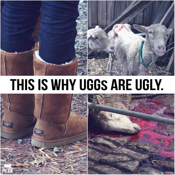 how are uggs made