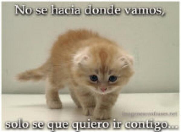 2Flaqui's tweet photo. listing.jpg http://t.co/tnUBb7ap03 #plugger http://t.co/VYHpX6ER4l