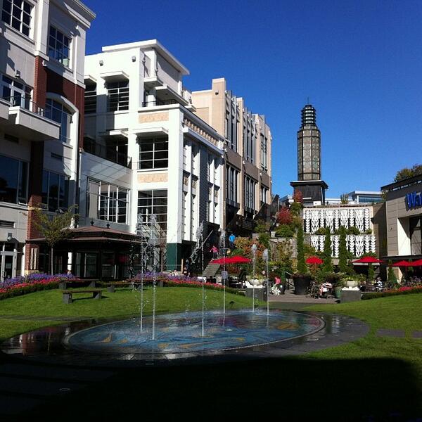 ocean985's tweet image. Uptown will have a 90-m zipline running through it for spring break this year! #notmakingitup #yyj ~@MelanieZ_FM