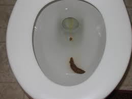 RateThatPoop tweet picture