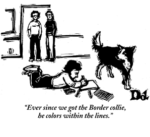 allpawsondeckAZ's tweet image. #Taskmasters are us! #Bordercollies
