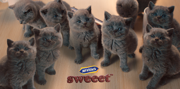 mcvities cat advert