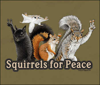 ujajura's tweet image. #StopTheSquirrelSlam Peace for all the Squirrels