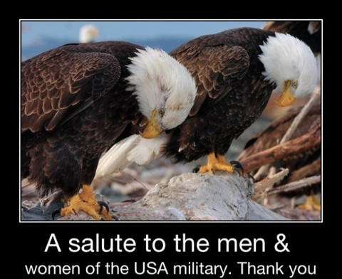 PamelaSavesU's tweet photo. #wearethepeople  YES we need to Salute the MEN and WOMEN and NOT forget when we get the RV 2day http://t.co/UMM6IrbY2F