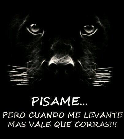 DrcRamirez's tweet photo. http://t.co/tf67S6zBcO