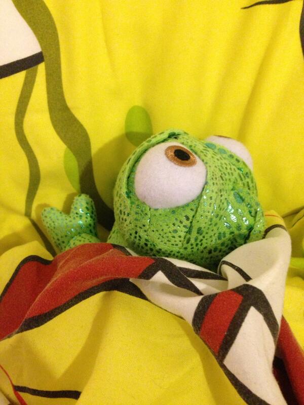 WheresPascal_'s tweet image. Pascal has had a busy day so he is ready for bed!