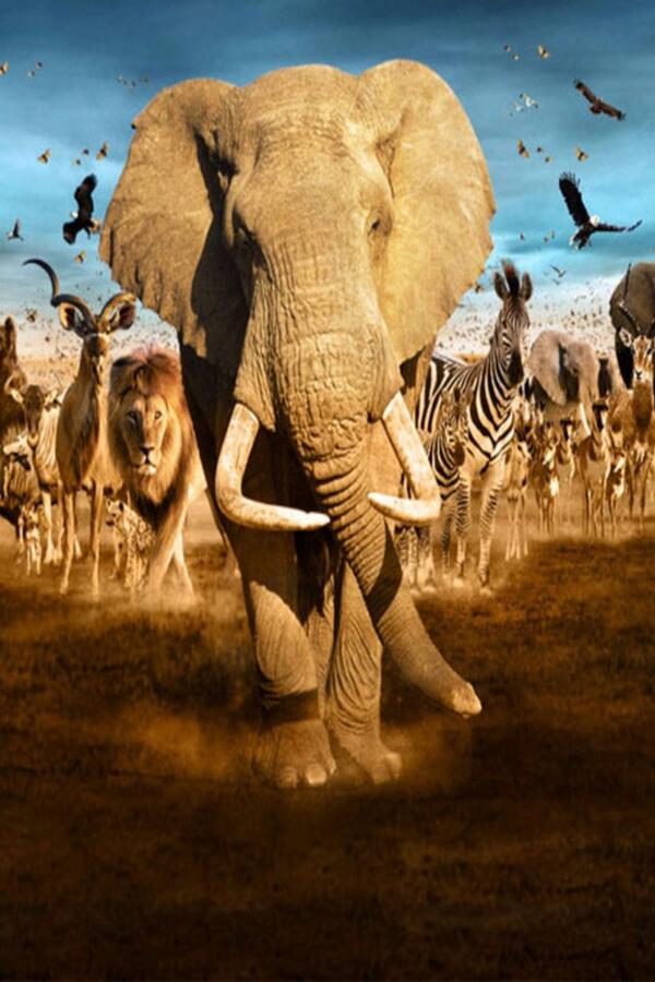 marzianomellow's tweet image. 