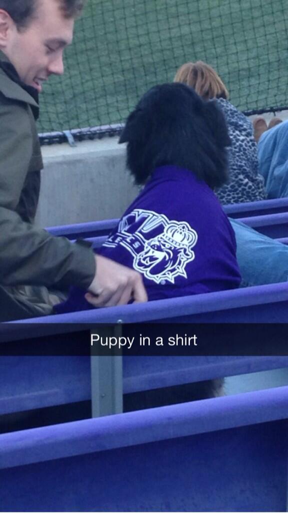 LadyR3bel's tweet photo. @SpottedJMU cute guys and puppies in shirts at the JMU bball game #godukes http://t.co/kFCwKFKbm8