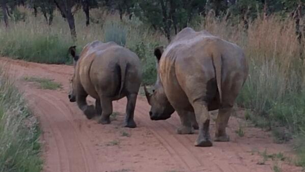 rukes's tweet photo. This is what a roadblock looks like in South Africa. http://t.co/g0g9bCzVSq
