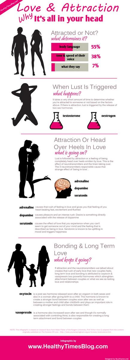 MessageNecklace's tweet image. The Science of Falling in Love: Are we hard wired to be attracted to certain traits? See: bit.ly/1feu1Wz