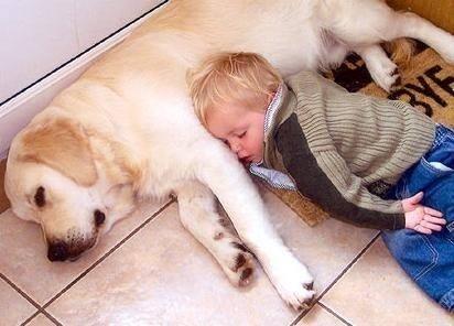 mioxynet's tweet photo. ""Sueños grandes, requiere de acciones grandes."" http://t.co/IjwFgl5raO