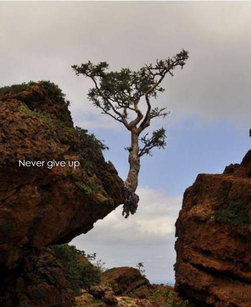 goerick's tweet image. 