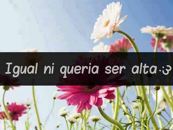 Mundo_Perfect's tweet image. Jajajaja Siii