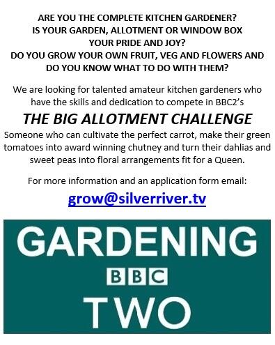 ContestantCollective tweet media