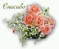 @irina_tabak