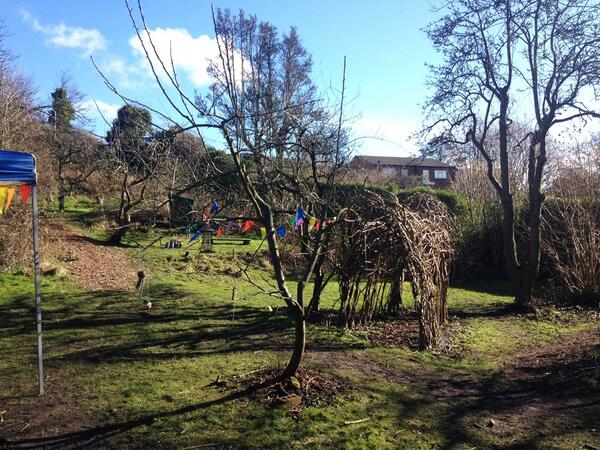 Doesn't the Community Orchard look peaceful before all the children arrive?