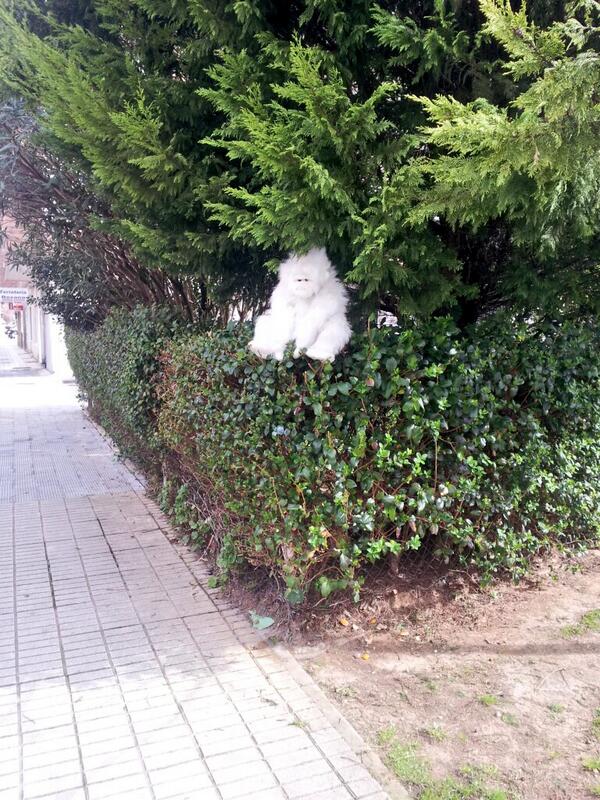 SarahHernndez's tweet photo. He estado a punto de sufrir un infarto por culpa de esto: http://t.co/2HgXliRvle