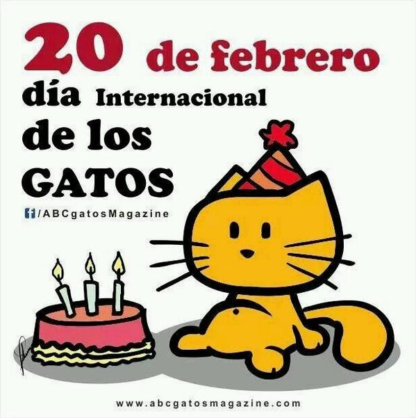 plate42's tweet photo. FELIZ DIA DEL GATO. http://t.co/rE8VDycxcj