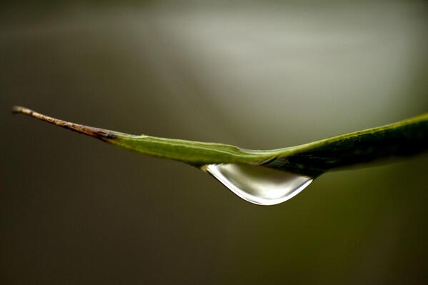 nature_org's tweet photo. In a warming world, unpredictable is the new normal. To secure water we must secure nature http://t.co/MZRGQsCkRm http://t.co/gBsvQuFFxe