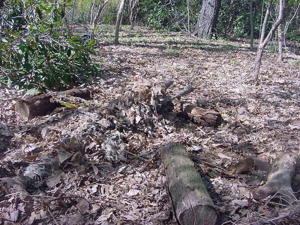 Military_Porn's tweet image. Retweet if you can find the sniper