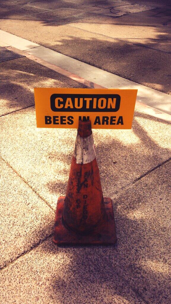 ZachDAnderson's tweet photo. The trials and tribulations of doing business in San Diego!  Shall I go around? http://t.co/NmGMMvEDQc