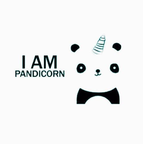 joselinejgo's tweet image. #Pandicorn ^_^