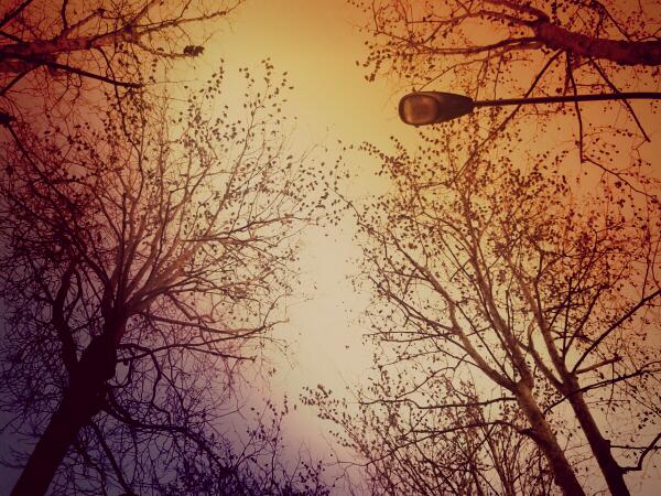 MPettinari87's tweet photo. Via PicsArt #picsart #photography #android http://t.co/NNi0a3cc3d