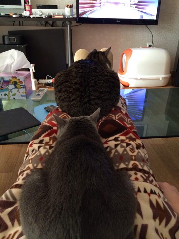 For_Birdie's tweet photo. 얘들아. 아빠 다리 저리다. http://t.co/L6S4KCJlY6