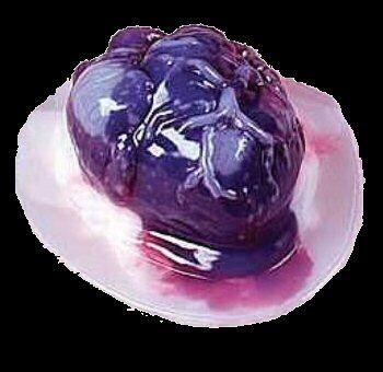 SkeletonFactory's tweet image. Valentine's Day is coming up...who will be eating your heart out? #zombies #heart #vday