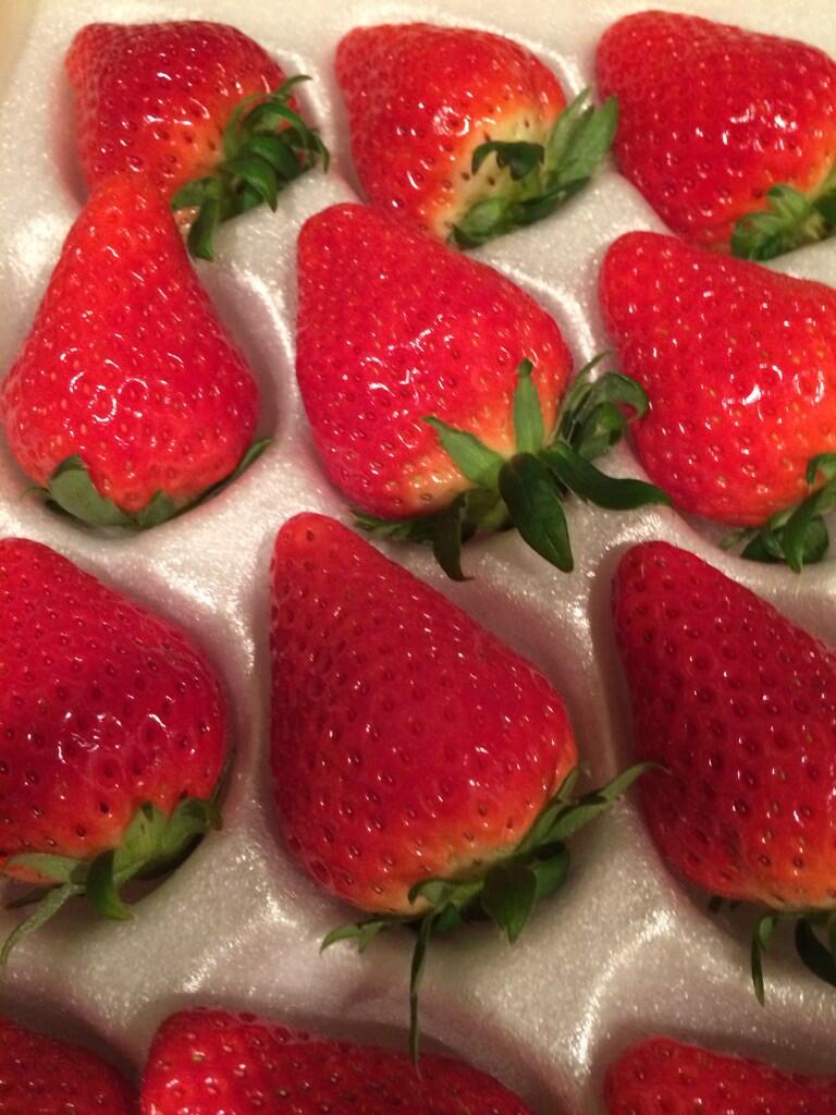 有吉弘行さんのツイート 高いイチゴ貰った 緊張してなかなか食えない 腐るまで待つか 腐ったイチゴなら精神的に こちらが優位だ 乱暴に食える Http T Co Enuubt8reh 有吉弘行さんのツイート 高いイチゴ貰った 緊張してなかなか食えない 腐るまで待つか 腐ったイチゴなら精神的に こちらが優位だ 乱暴に食える Http T Co Enuubt8reh