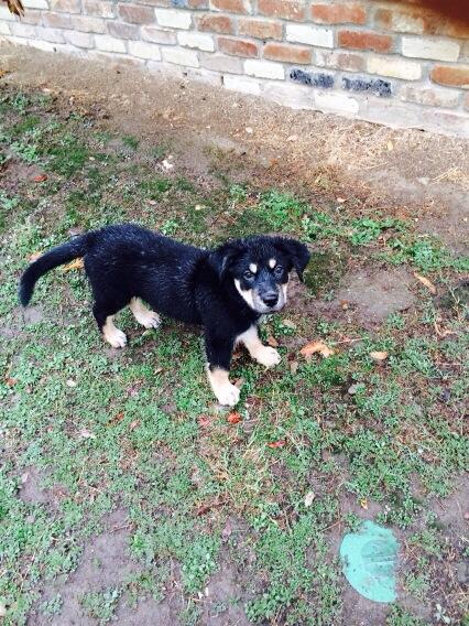 All wet! #cbs13weather