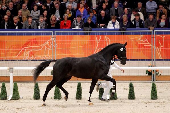 Super trots op Guess! Door naar ermelo!