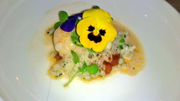 HerenDineren's tweet photo. Langoustine, parelgort, tomaat @jachtwijnen #top http://t.co/f9vJxtmm4p