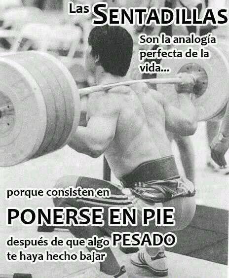 BrainForMuscle tweet picture