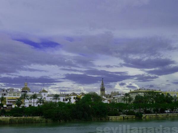 SevillaEstampas tweet picture
