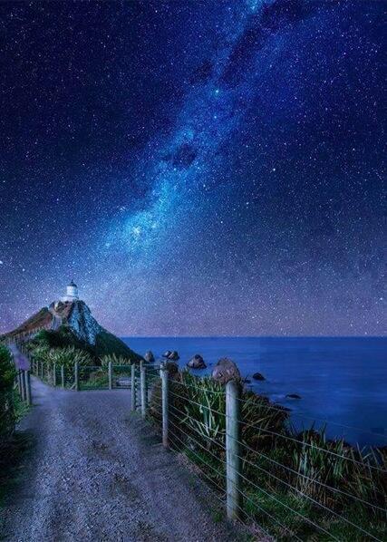 ThatIsEarth's tweet image. Milky Way, South Island, New Zealand