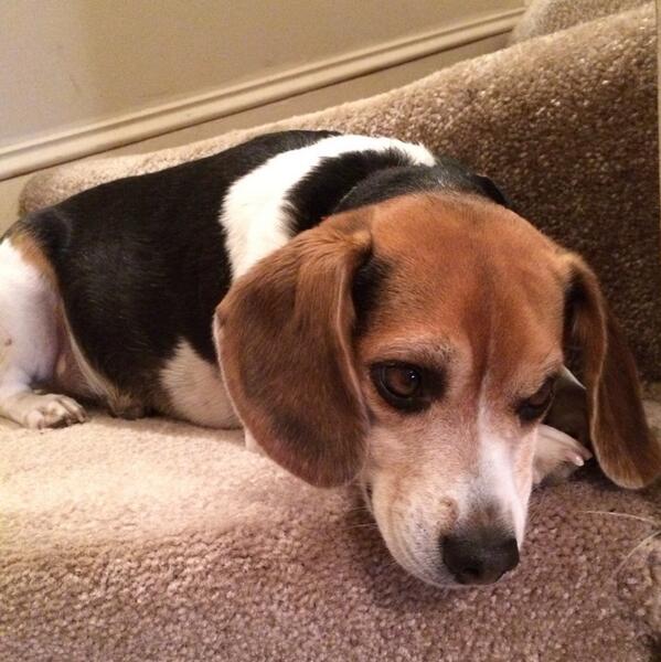 Too cold and more snow means I can't go to the park today. #bummer