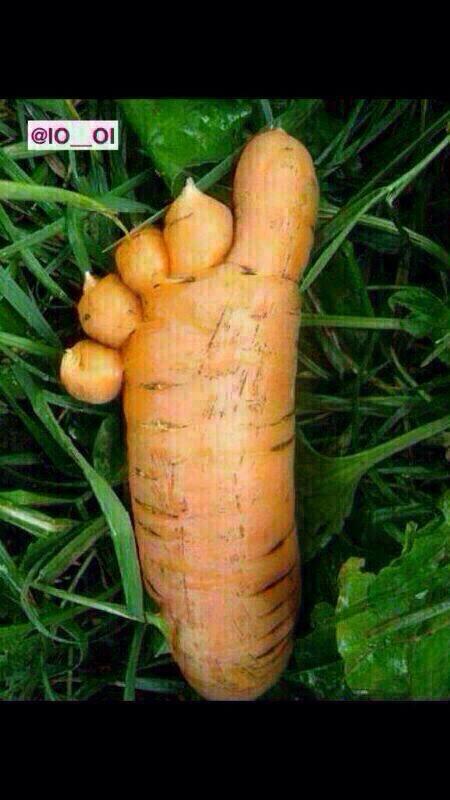 علي الناصر (@mdd9990) on Twitter photo 