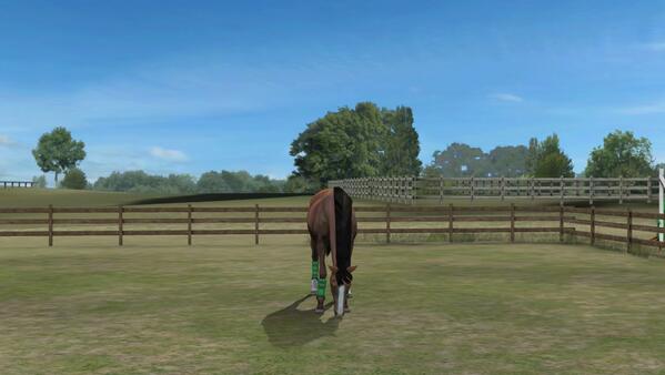 Check out my photo! Add me, Shushuthehorse. #MyHorse  nmgam.es/horse_twitter