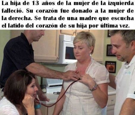 UnPutoAmor's tweet photo. Sobran las palabras con esta imagen... http://t.co/fj50KpQzi1