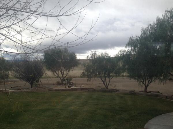 raymopom's tweet image. 