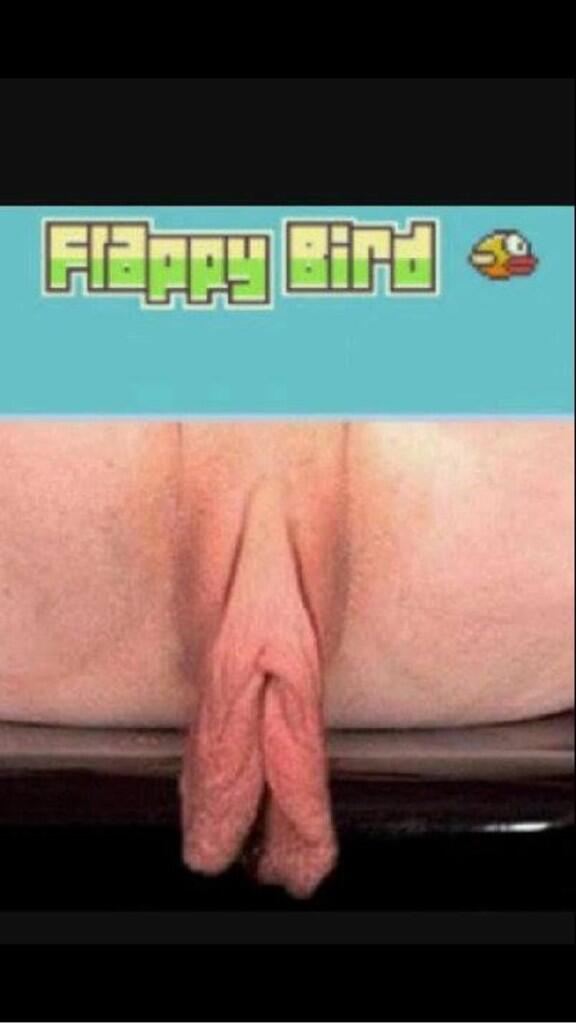 Flappy Pussy 119