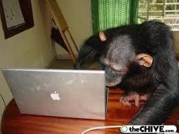 RockMyFun's tweet image. If Gorillas can use theese laptops then you can too: laptopreviews99.blogspot.com/2014/02/super-…