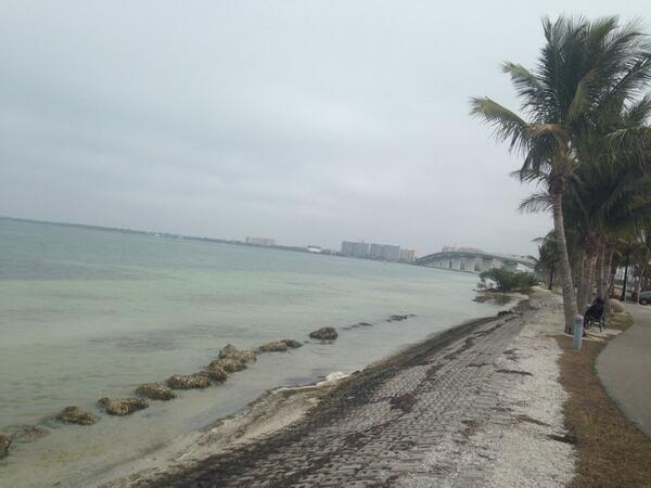 cmdonn's tweet image. 