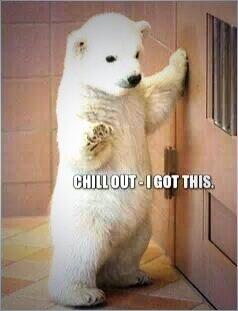 DaveTheCarrot's tweet photo. #funnypics #cutepics >>> http://t.co/TljnTRpfnj