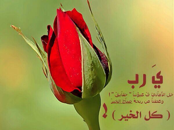 sa20002eed tweet picture